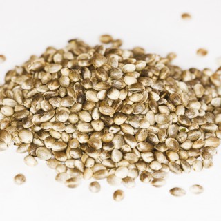 Hemp Seed, a Natural Source of Functional Food Ingredients